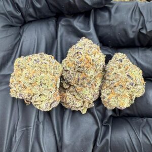 purple cherries strain