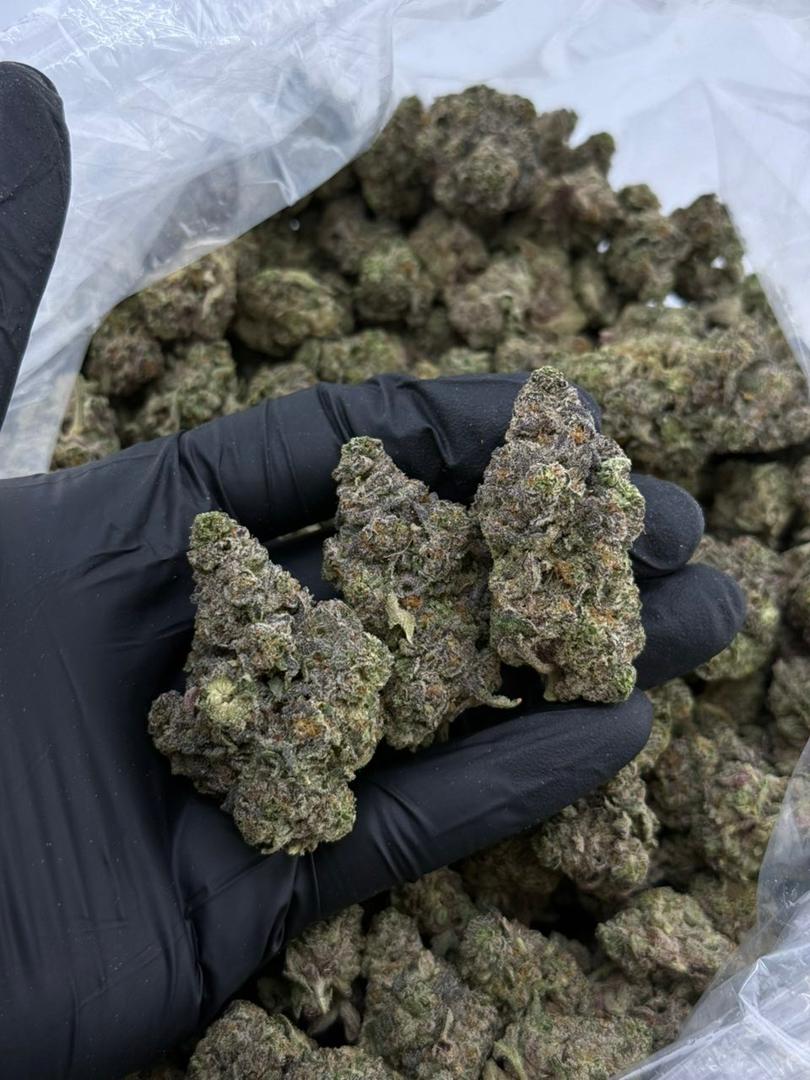 michael jordan runtz strain michael jordan runtz strain