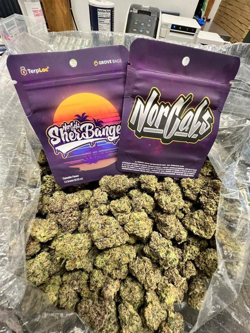 norcals sherbanger strain norcals sherbanger strain
