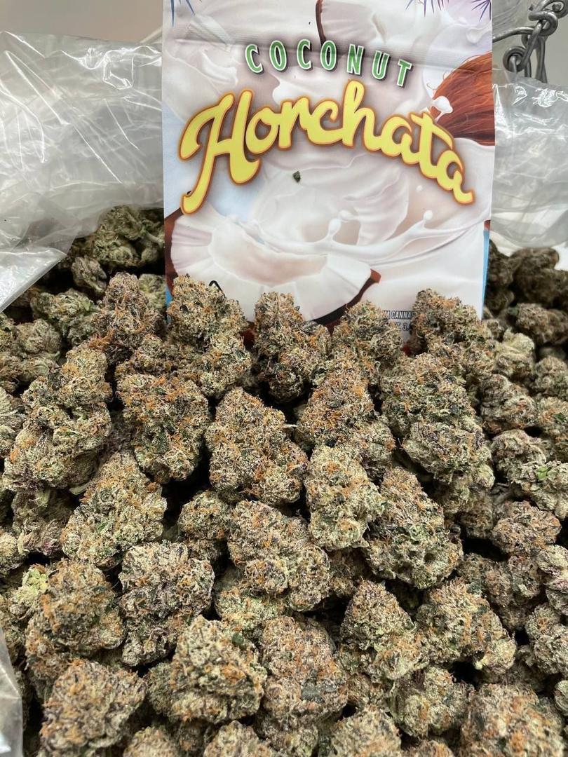 coconut horchata strain coconut horchata strain