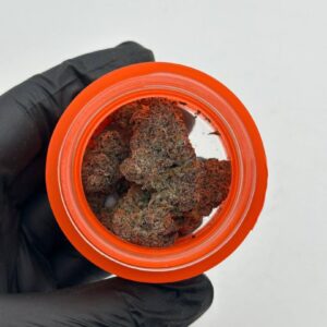 sherbinski premium flowers