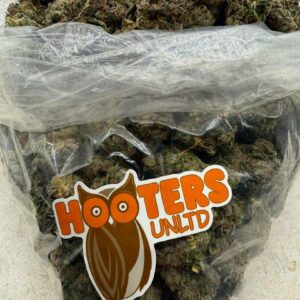 hooters weed strain