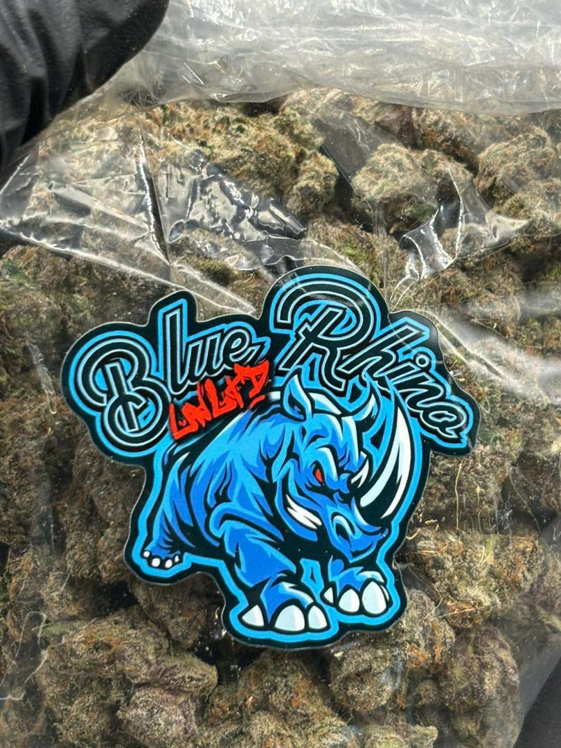 blue rhino strain blue rhino strain