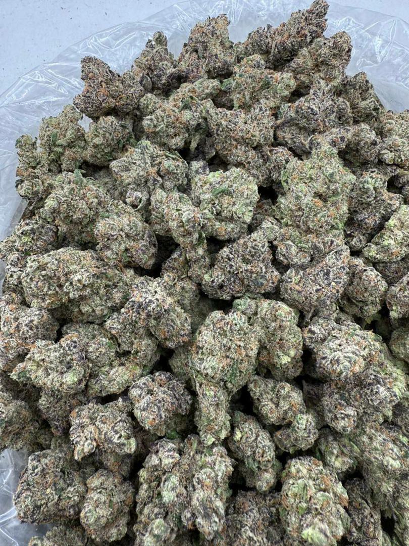 auto draft auto draft