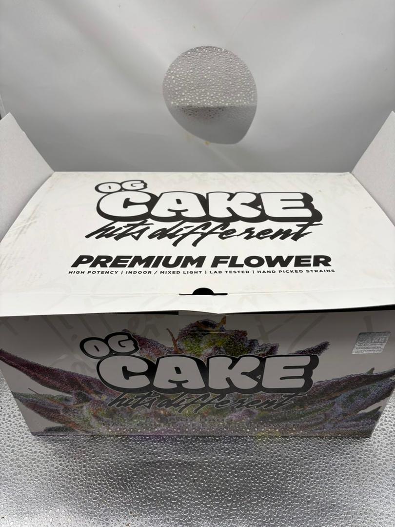 auto draft auto draft