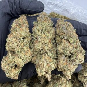 mimosa orange strain