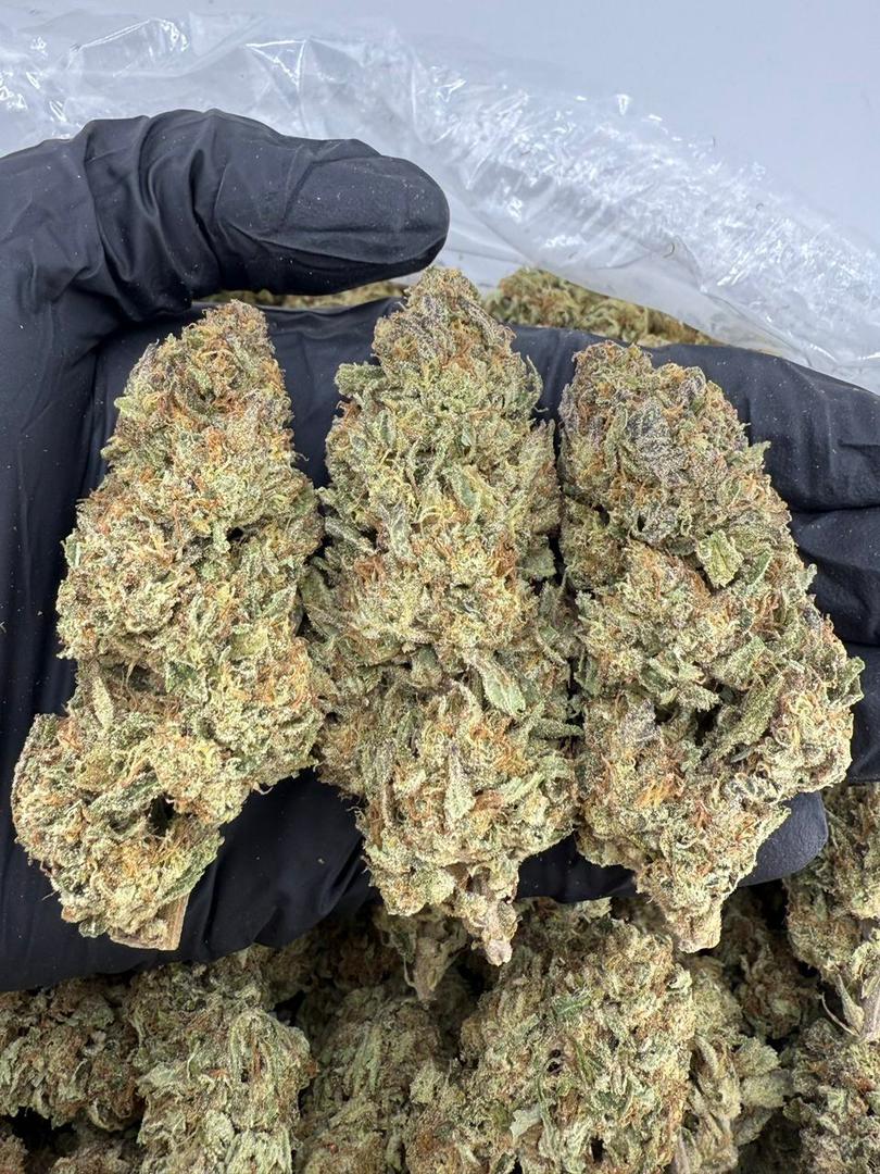 mimosa orange strain mimosa orange strain