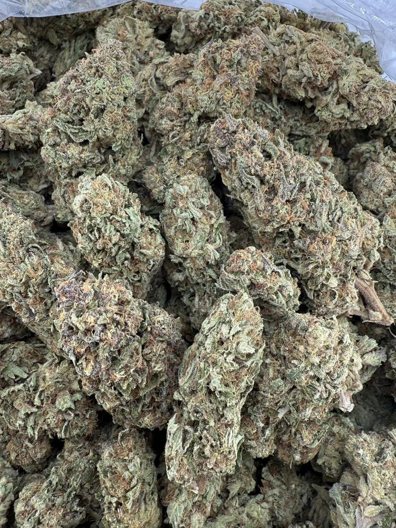 mimosa orange strain mimosa orange strain