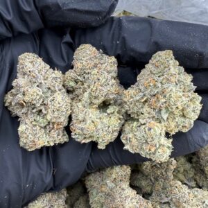 oakland runtz strain