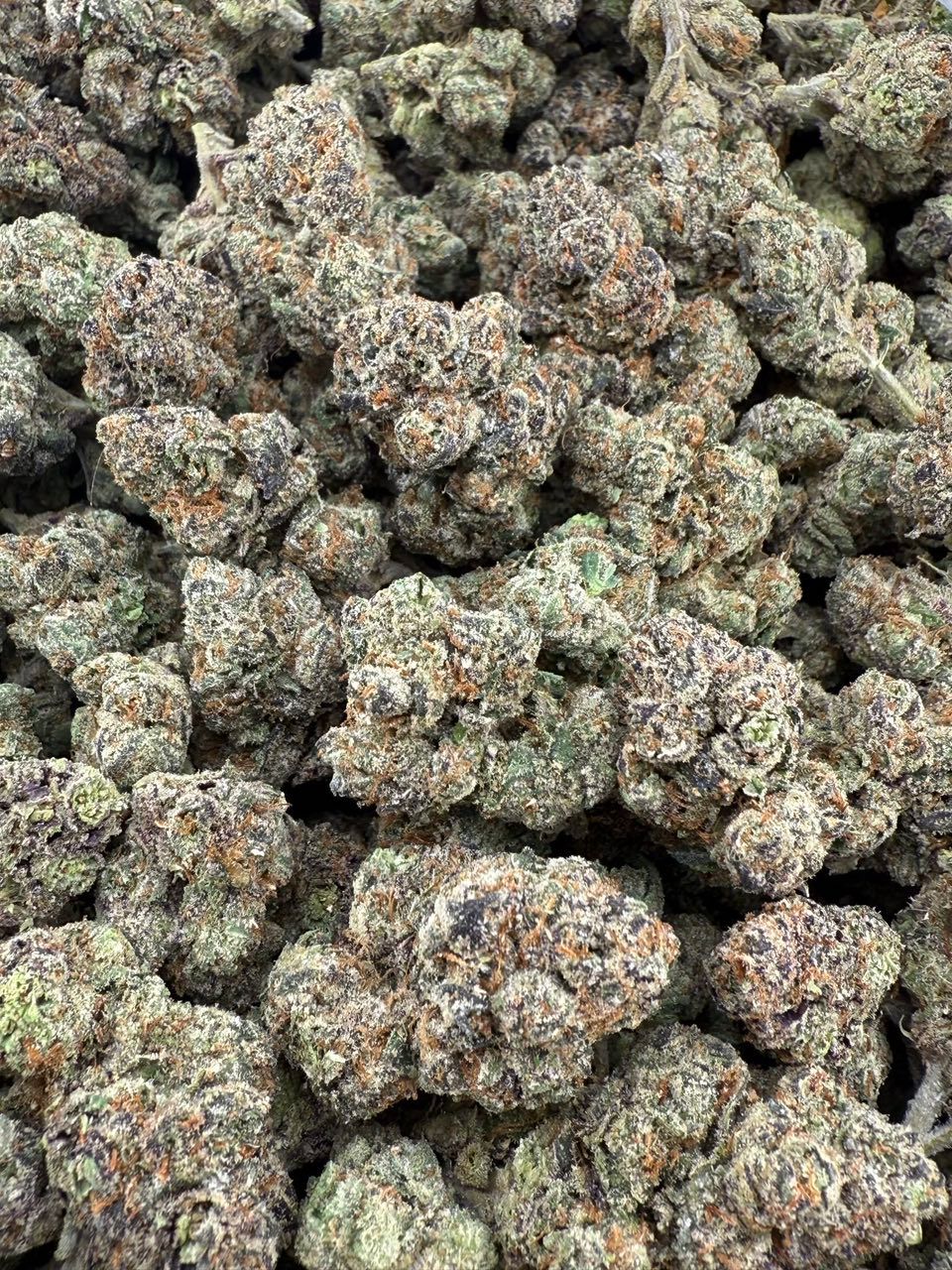 auto draft auto draft