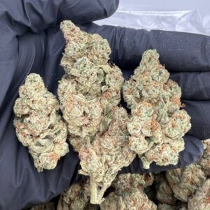 watermelon zkittlez strain