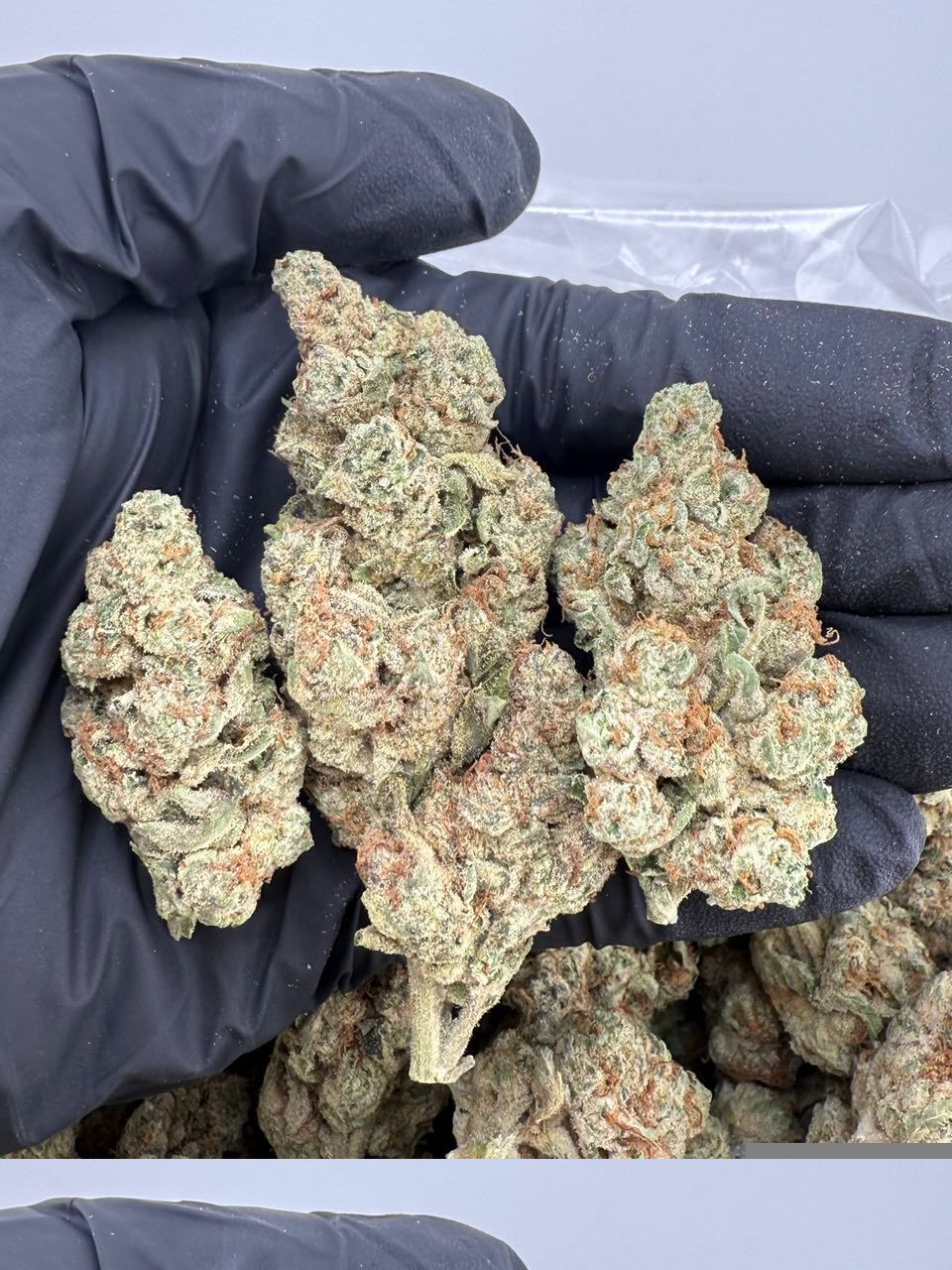 watermelon zkittlez strain watermelon zkittlez strain