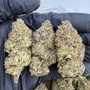 platinum gelato strain