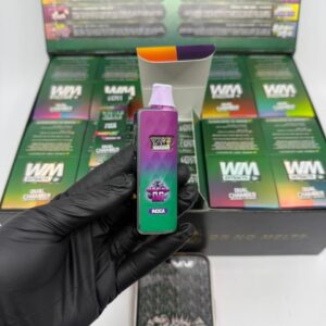 whole melt phase four 2g disposable
