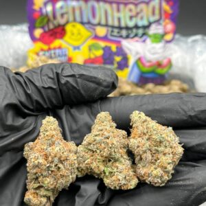 lemonhead strain
