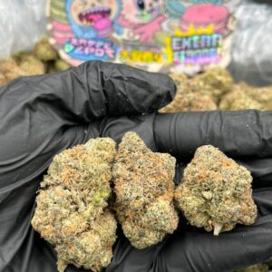 zabubu macaroonz strain