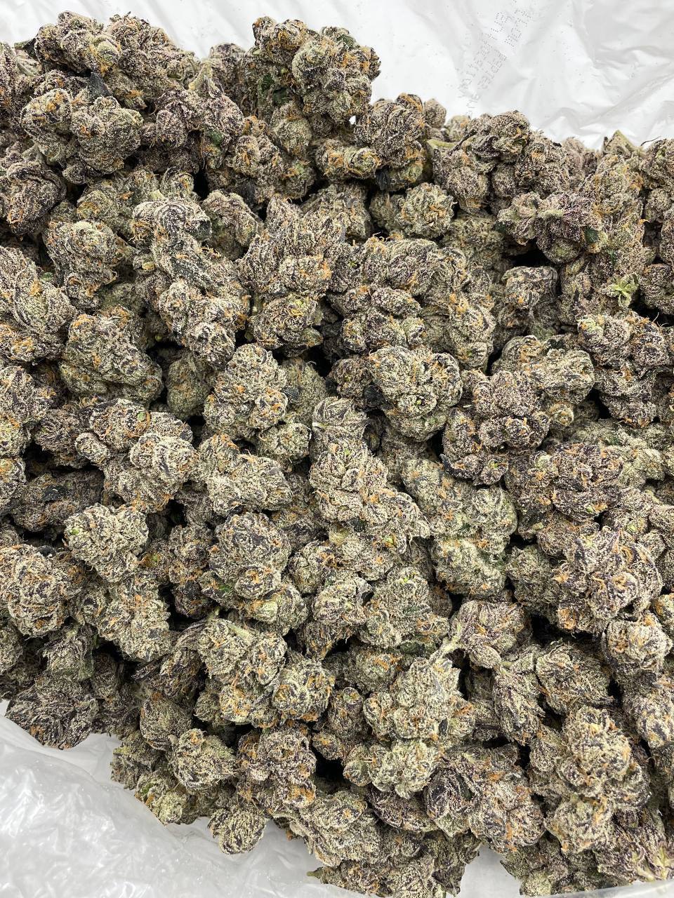 rainbow dolce strain rainbow dolce strain