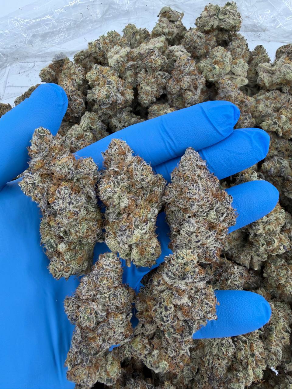 styrofoam cup strain styrofoam cup strain