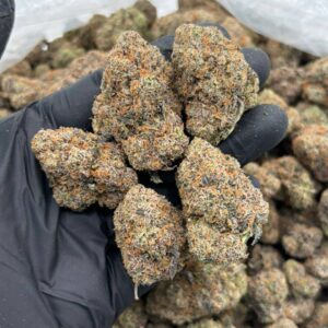 lemon cherry icee strain