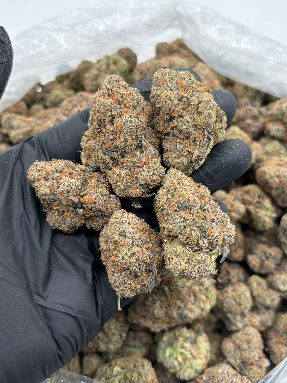 lemon cherry icee strain lemon cherry icee strain