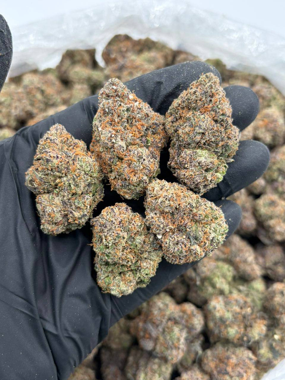 galactic cherry candy strain galactic cherry candy strain