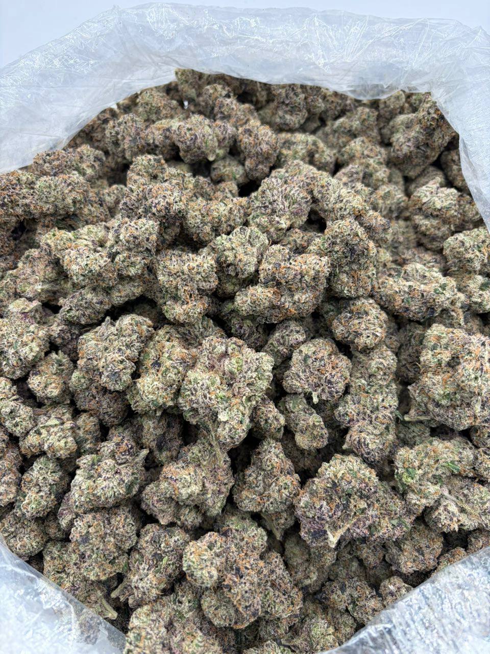 auto draft auto draft