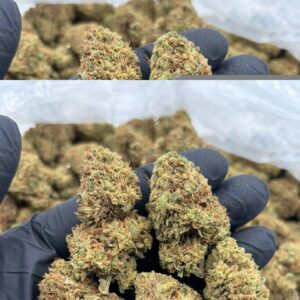 grease monkey strain