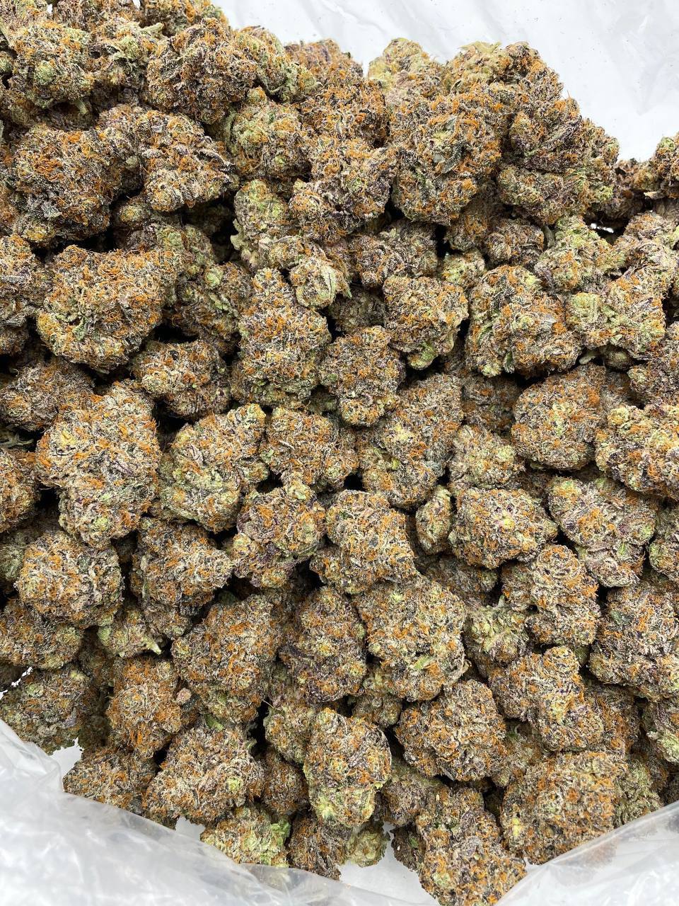 cherry code red strain cherry code red strain