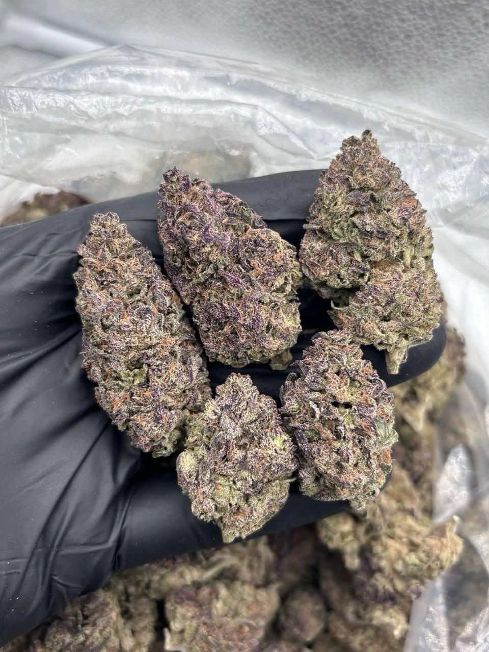 apple runtz strain apple runtz strain