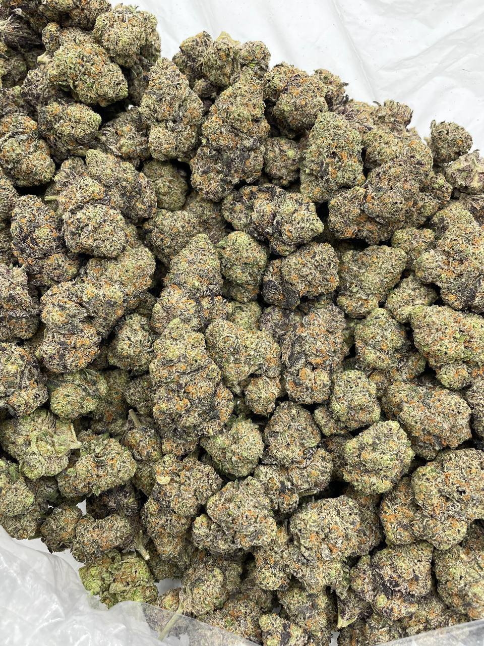 rainbow sugar luxe strain rainbow sugar luxe strain