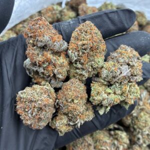 purple platinum strain