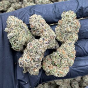 blue meteorite strain