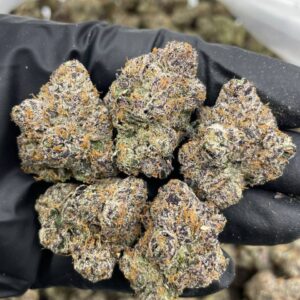 cherry bombay strain