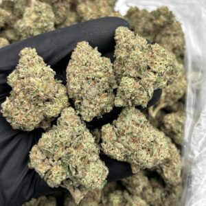 frosted donuts strain