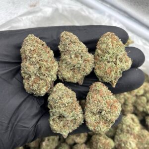 peanut butter cup strain