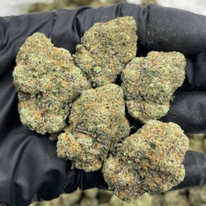 frozen starburst strain