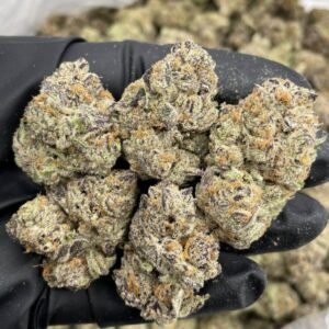 blueberry shortcake strain