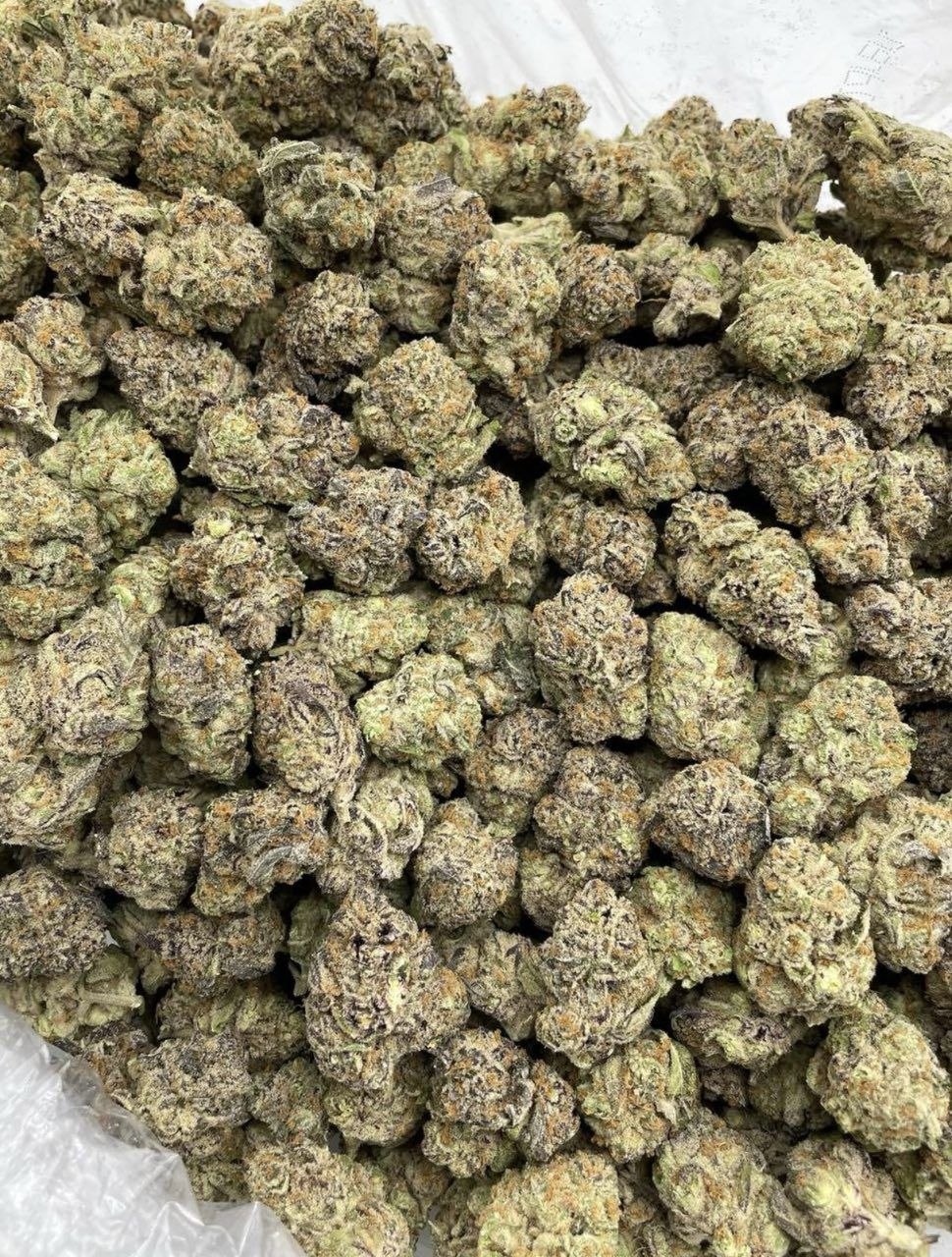 blueberry shortcake strain blueberry shortcake strain