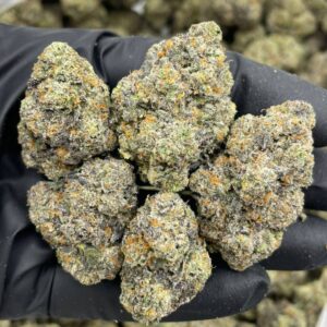 chocolate chip cookies strain