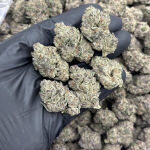 dirty sprite weed strain