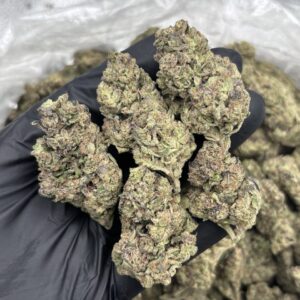 laffy taffy weed strain