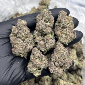 pie scream weed strain