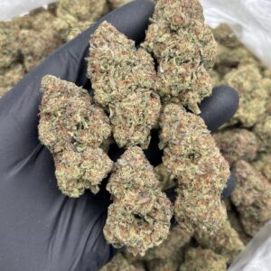 pure michigan weed strain
