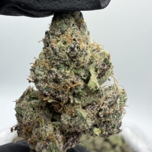 blue gumbo weed strain