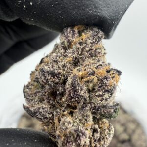 kool aid pineapples weed strain