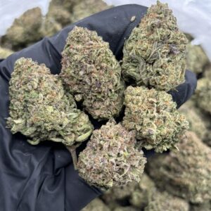 pink gusherz weed strain