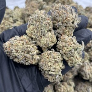 white trufflez weed strain