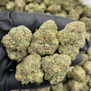 cream soda weed strain