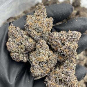 atomic weed strain