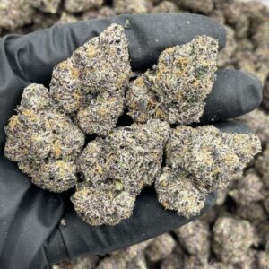 midnight runtz weed strain